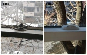 sheena before and after 3